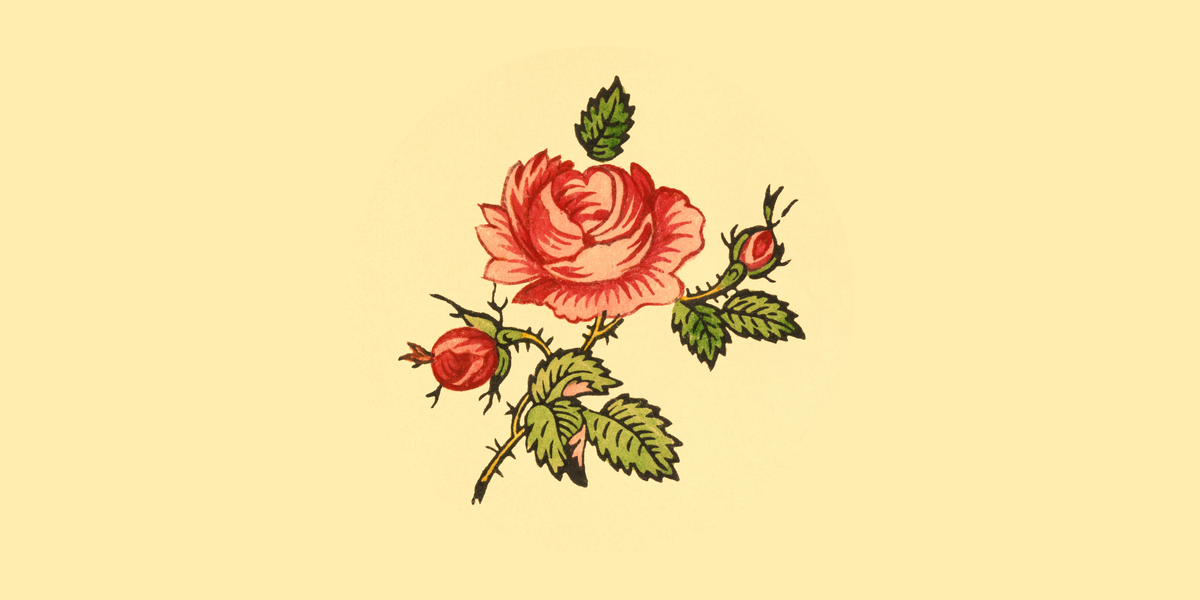 Welcome to the Uplift Book Club Blog!